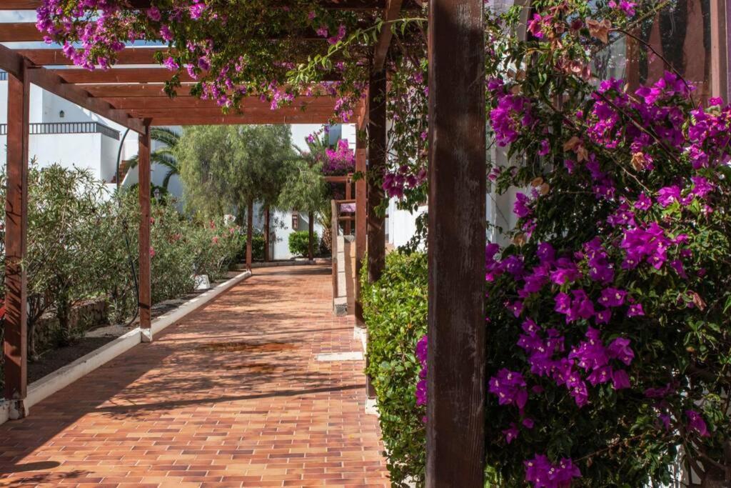 The Colors House Lejlighed Costa Teguise Eksteriør billede